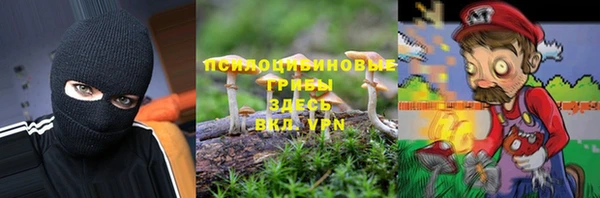 ПСИЛОЦИБИНОВЫЕ ГРИБЫ Алексеевка