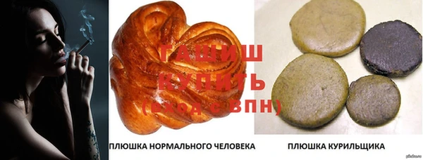 тгк Алзамай