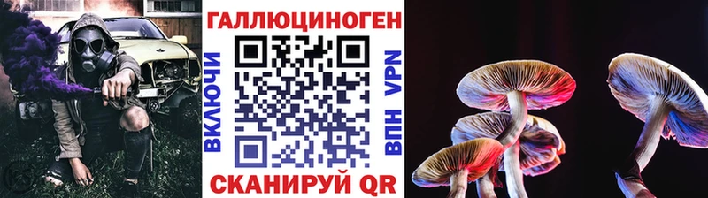 где купить наркотик Яхрома Псилоцибиновые грибы мухоморы